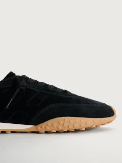 Discount HOFF ROYAL TERN