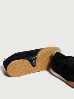 Discount HOFF ROYAL TERN