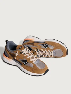 New HOFF SOUTH CAROLINA